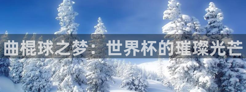 世界杯决赛预测:曲棍球之梦:世界杯的璀璨光芒