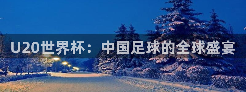 世界杯视频:U20世界杯:中国足球的全球盛宴