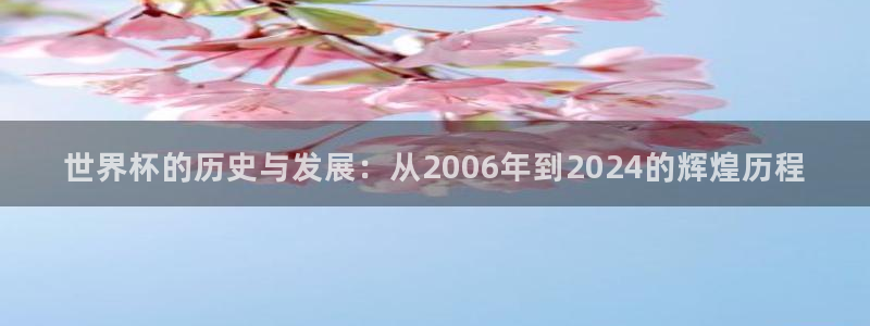 世界杯预选赛欧洲赛区积分榜:世界杯的历史与发展:从2006年到2024的辉煌历程