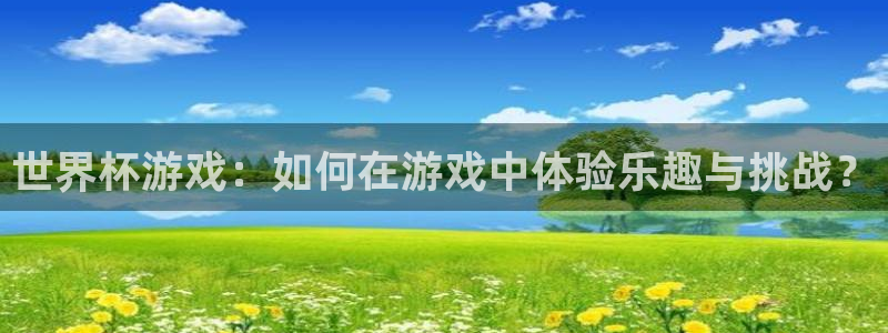 欧洲世界杯预选赛:世界杯游戏:如何在游戏中体验乐趣与挑战?