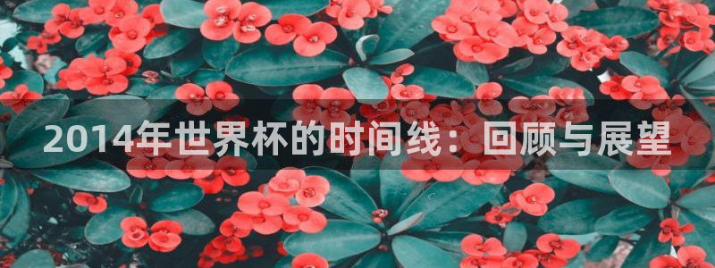 世界杯2026赛制:2014年世界杯的时间线:回顾与展望
