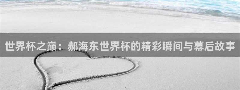 2026世界杯:世界杯之巅:郝海东世界杯的精彩瞬间与幕后故事