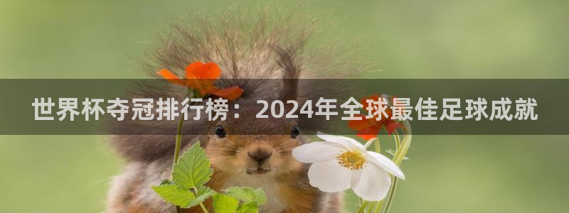 足球世界杯2026年赛程时间表:世界杯夺冠排行榜:2024年全球最佳足球成就