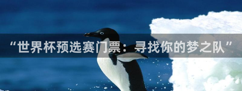 欧联杯直播:“世界杯预选赛门票:寻找你的梦之队”